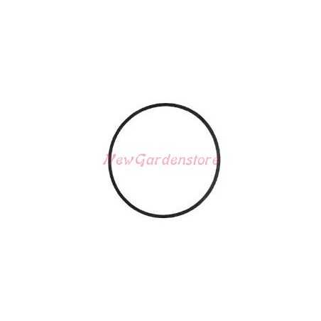 BRIGGS & STRATTON BRIGGS & STRATTON 222051 Vergaserschale Dichtung Nikki Rasenmäher Mähwerk Vergaserschale | NewgardenParts.com