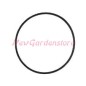 BRIGGS & STRATTON BRIGGS & STRATTON 222051 carburettor bowl gasket Nikki lawn mower mower mower carburettor bowl