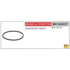 Guarnizioni tenute BRIGGS & STRATTON 281165 | NewgardenParts.com