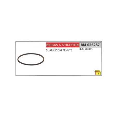 BRIGGS & STRATTON Dichtungen 281165 | NewgardenParts.com