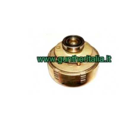 Mehrscheibenkupplungssystem Ø 100x88 Kegel 23 Lager BENASSI Motorhacke BL110 | NewgardenParts.com