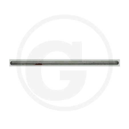 Asta punteria ORIGINALE BRIGGS & STRATTON 794573 | NewgardenParts.com