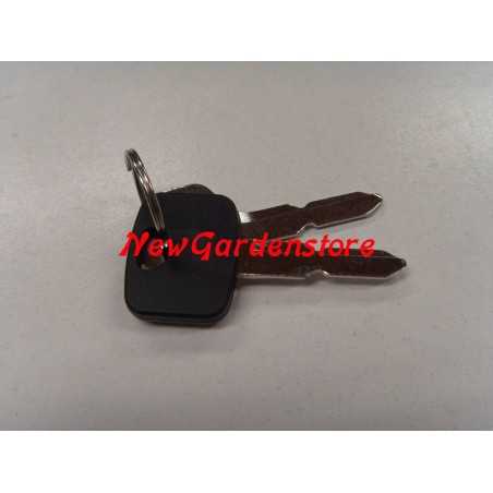 Juego de 2 llaves de arranque ORIGINAL STIGA para tractor de césped 118210023/0 | NewgardenParts.com