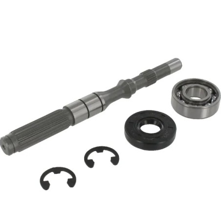 Kit albero pompa con cuscinetti ORIGINALE TUFF TORQ trazione 1A646099950 | NewgardenParts.com