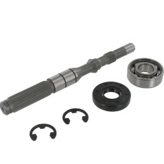 Kit d'arbre de pompe de traction de transmission avec roulements ORIGINAL TUFF TORQ | NewgardenParts.com