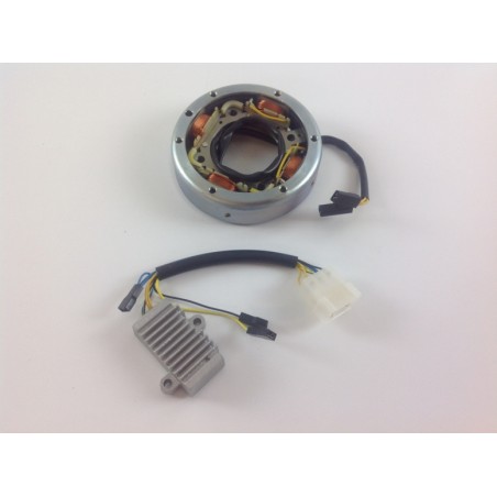 Kit alternatore + regolatore tensione 6LD motore DIESEL LOMBARDINI KIT6G2 | NewgardenParts.com