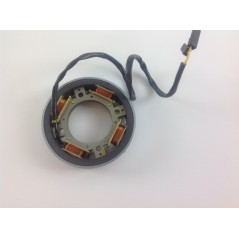 Lichtmaschinen-Kit + Spannungsregler 6LD Motor DIESEL LOMBARDINI KIT6G2 | NewgardenParts.com