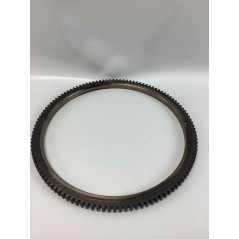 Elektrostarterkit mit Regler und Lichtmaschine RUGGERINI RF130 Motor | NewgardenParts.com
