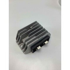 Elektrostarterkit mit Regler und Lichtmaschine RUGGERINI RF130 Motor | NewgardenParts.com