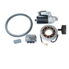 Kit avviamento elettrico con regolatore e alternatore motore RUGGERINI RF130 | NewgardenParts.com