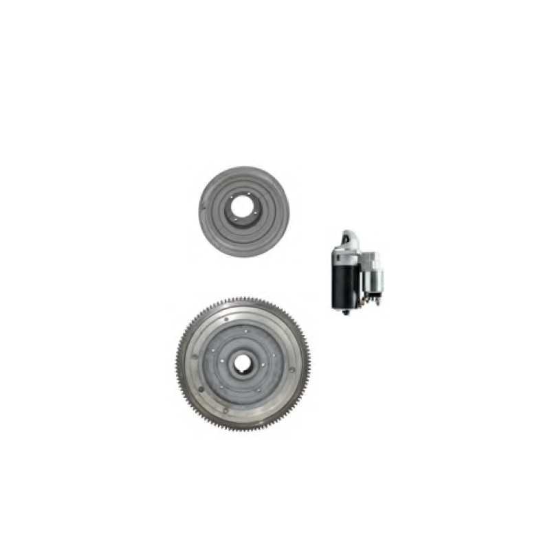 Elektrostarterkit mit Schwungrad DIESEL Motor RUGGERINI RF80 RF81 RF90 RF120
