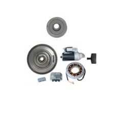 Kit avviamento elettrico con volano motore DIESEL RUGGERINI RF80 RF81 RF90 RF120 | NewgardenParts.com