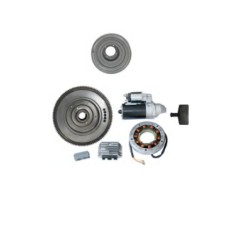 Kit de arranque eléctrico con volante motor DIESEL RUGGERINI RF80 RF81 RF90 RF120 | NewgardenParts.com