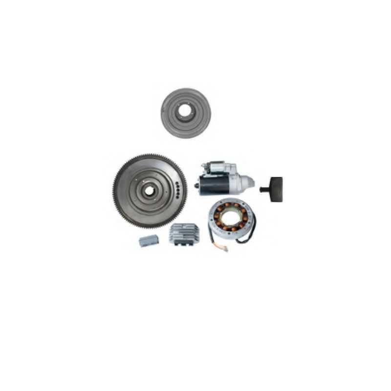 Elektrostarterkit mit Schwungrad DIESEL-Motor RUGGERINI RF80 RF81 RF90 RF120 Elektrostarterkit mit Schwungrad DIESEL-Motor RUGGERINI RF80 RF81 RF90 RF120