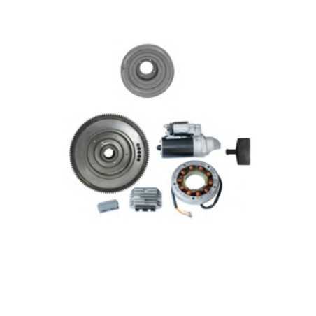 Kit de démarrage électrique avec volant moteur DIESEL RUGGERINI RF80 RF81 RF90 RF120 | NewgardenParts.com