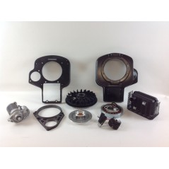Electric starter kit flywheel regulator 6LD 520 530 engine DIESEL LOMBARDINI | NewgardenParts.com