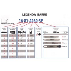 Kit barra SAFE TIP (RK) e catena SEMI-CHISEL CARLTON 8" 1/4 48 maglie 720017 | NewgardenParts.com