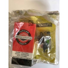 Kit blocchetto accensione trattorino tagliaerba BRIGGS & STRATTON 7600215YP | NewgardenParts.com