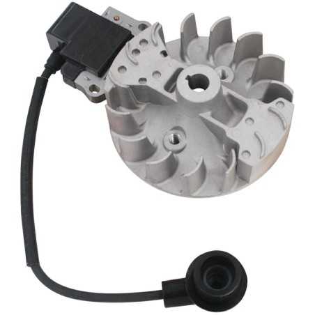 Kit bobine électronique compatible avec moteur KASEI débroussailleuse 330 Euro 5 | NewgardenParts.com