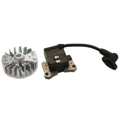 Kit bobina elettronica compatibile motore KASEI decespugliatore 430 Euro 2 | NewgardenParts.com