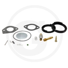 Kit carburatore ORIGINALE BRIGGS & STRATTON 394698 | NewgardenParts.com