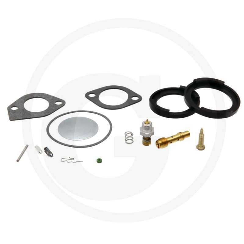 Kit carburatore ORIGINALE BRIGGS & STRATTON 394698