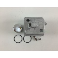 Kit cilindro e pistone per soffiatore TOPSO EB260 ALPINA BLX260 CASTOR BL260 | NewgardenParts.com