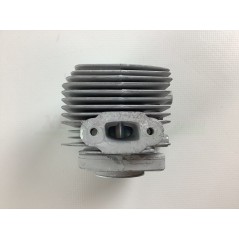 Kit cilindro e pistone per soffiatore TOPSO EB260 ALPINA BLX260 CASTOR BL260 | NewgardenParts.com