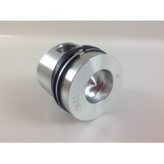 100 mm piston cylinder kit DIESEL engine LOMBARDINI LDA832 LDA833 5LD825-2 | NewgardenParts.com