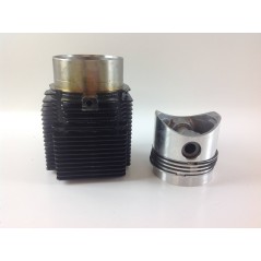 Kit cylinder piston 102 mm DIESEL engine LOMBARDINI 4LD820 LDA820 4898.005 | NewgardenParts.com