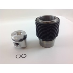 Zylindersatz Kolben 85 mm Motor DIESEL RUGGERINI RF100 RD85 ADN48 130139K | NewgardenParts.com