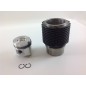 Cylinder kit piston 85 mm engine DIESEL RUGGERINI RF100 RD85 ADN48 130139K