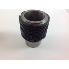Zylindersatz Kolben 85 mm Motor DIESEL RUGGERINI RF100 RD85 ADN48 130139K | NewgardenParts.com