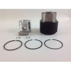 Kit piston cylindre 90 mm moteur DIESEL LOMBARDINI 12LD477-2 RUGGERINI RD210 | NewgardenParts.com