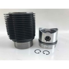 Cylinder kit piston 90 mm engine DIESEL LOMBARDINI 9LD560-2 9LD561-2 4898.030 | NewgardenParts.com