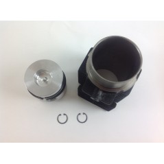 Kit pistón cilindro 95 mm motor DIESEL LOMBARDINI LDA96 LDA97 4LD640 4898.003 | NewgardenParts.com