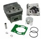 Kit cilindro pistone decespugliatore motosega 43 Euro 2 KASEI 1E40F-E-1