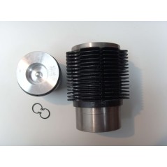 Cylinder piston kit DIESEL LOMBARDINI 3LD510 engine new type 4898.002 | NewgardenParts.com