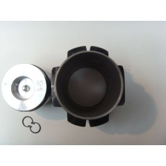 Kit piston cylindre moteur DIESEL LOMBARDINI 3LD510 nouveau type 4898.002 | NewgardenParts.com