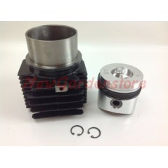 Kit cilindro pistone motore DIESEL LOMBARDINI LDA450 LDA451 3LD450 4898.027