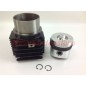 Zylinder-Kolben-Kit DIESEL-Motor LOMBARDINI LDA450 LDA451 3LD450 4898.027