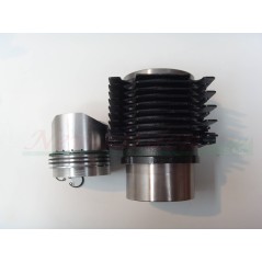 Kit cilindro pistone motore DIESEL LOMBARDINI LDA510 3LD510 tipo vecchio 4898.001 | NewgardenParts.com