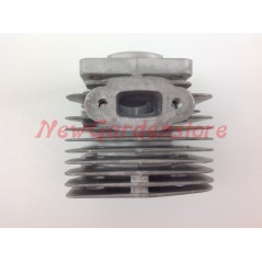 PG 26 PROGREEN CINA PG 26 brushcutter segment piston cylinder kit diameter 34 mm | NewgardenParts.com