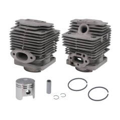 Kit cilindro pistone segmenti motore decespugliatore T170 MITSUBISHI FR66828 | NewgardenParts.com