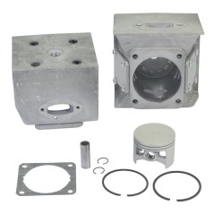 Kit cilindro pistone segmenti motore soffiatore EB800 d. 53 mm KASEI EB-800-E.1.3 | NewgardenParts.com