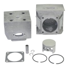 Kit segment piston cylindre EB800 moteur souffleur d. 53 mm KASEI EB-800-E.1.3 | NewgardenParts.com