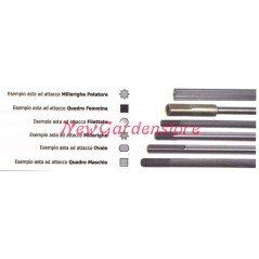 Asta trasmissione interna NEWGARDENSTORE 015948