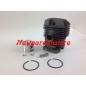 STIHL MS 290 1127 020 1210 compatible chainsaw segment piston cylinder kit