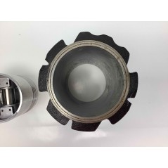 Zylinderkolben-Segment-Kit für RUGGERINI P 105/2 R - RP 380 FIN2038KIT | NewgardenParts.com