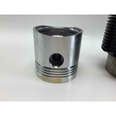 Piston cylinder segments kit for engine RUGGERINI P 105/2 R - RP 380 FIN2038KIT | NewgardenParts.com